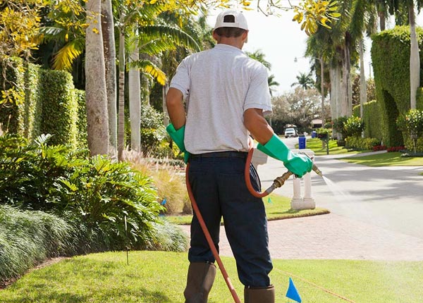 About New Athens IL Pest Control